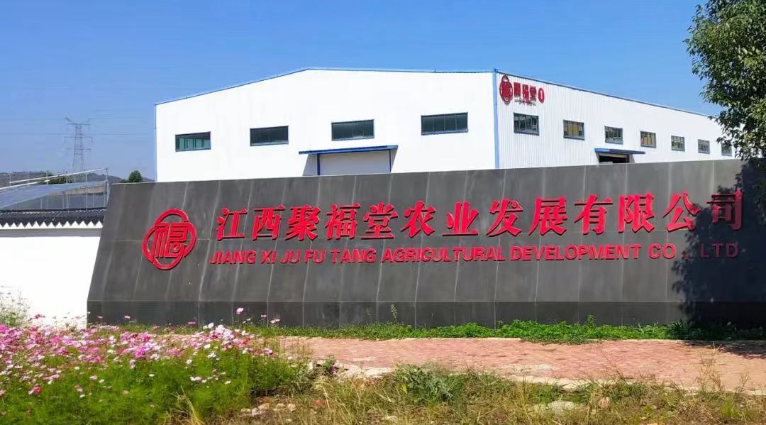 公司图片.jpg
