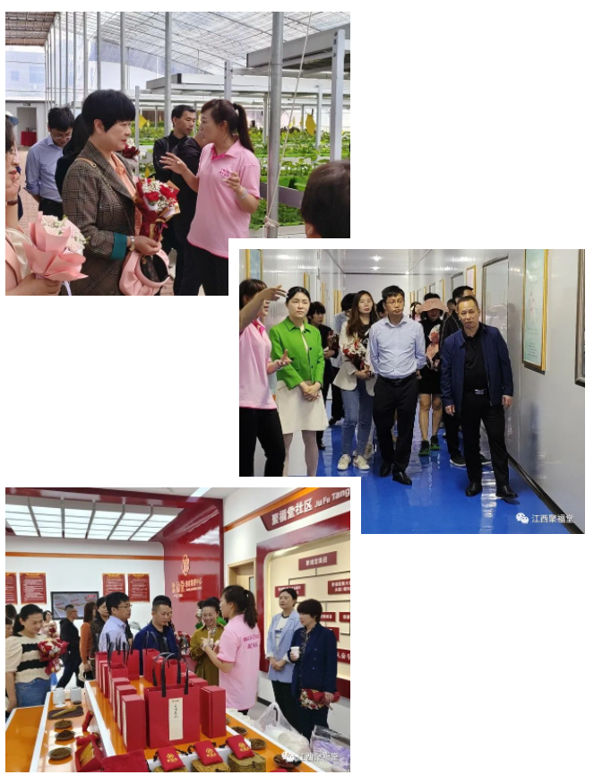 微信图片_202305221418471.png