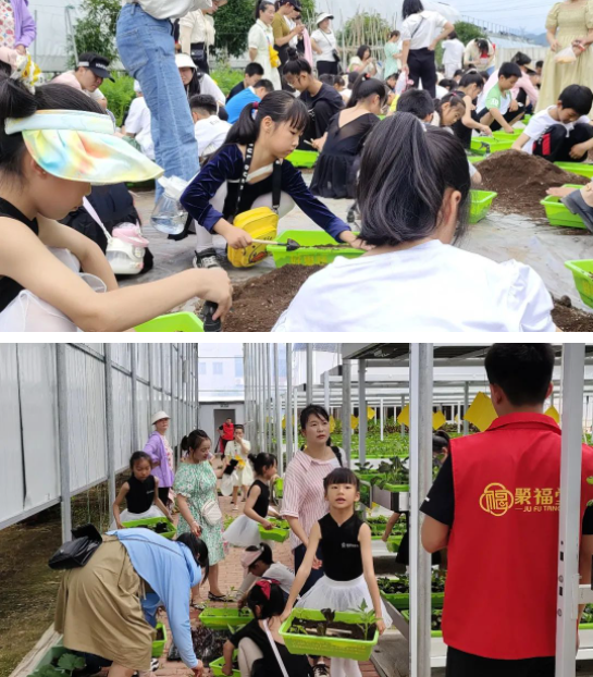 微信图片_202306050844071.png