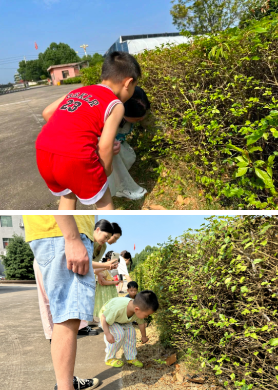 1685928128.png 微信图片_202306050920004.png