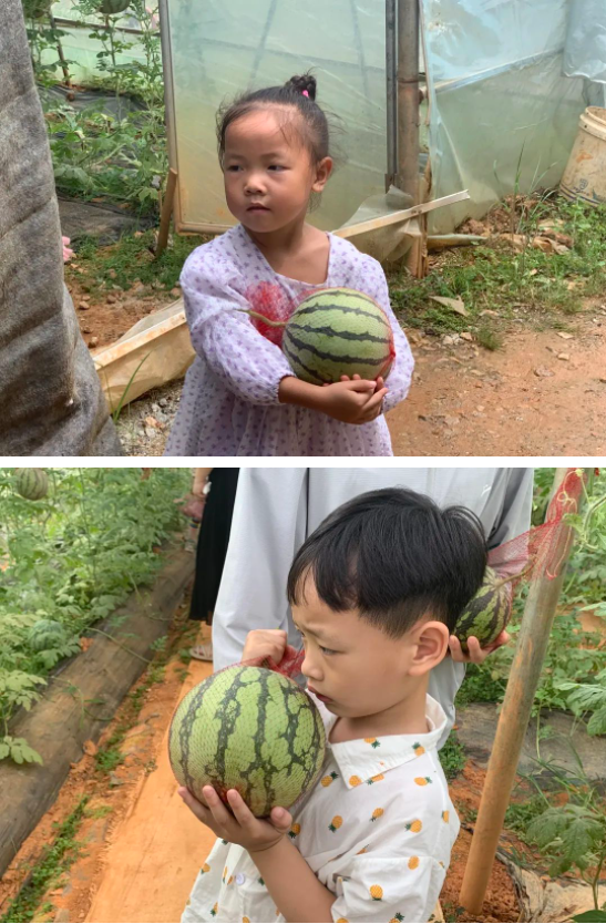 微信图片_2023061908281312.png